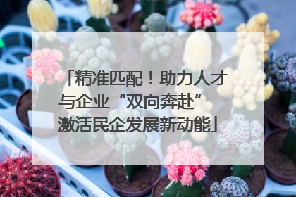 精准匹配！助力人才与企业“双向奔赴” 激活民企发展新动能
