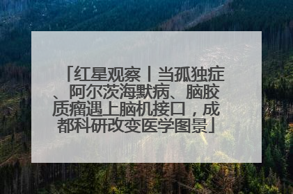红星观察丨当孤独症、阿尔茨海默病、脑胶质瘤遇上脑机接口，成都科研改变医学图景