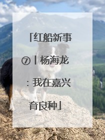 红船新事⑦丨杨海龙：我在嘉兴育良种