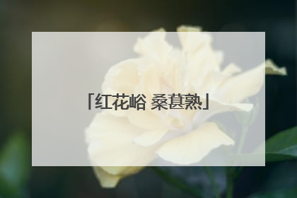 红花峪 桑葚熟
