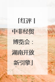 红评丨中非经贸博览会：湖南开放新引擎