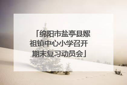 绵阳市盐亭县嫘祖镇中心小学召开期末复习动员会