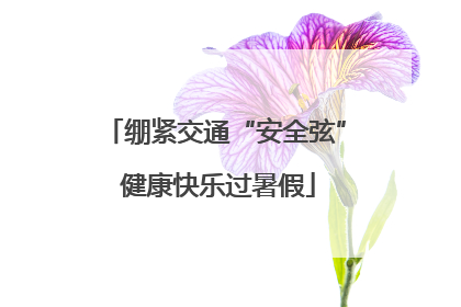 绷紧交通“安全弦” 健康快乐过暑假