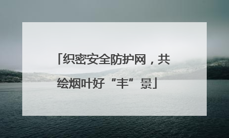织密安全防护网，共绘烟叶好“丰”景