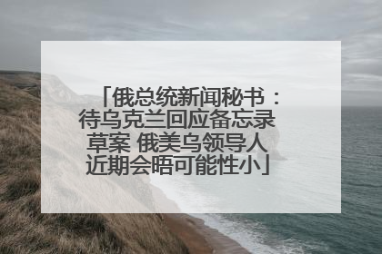 俄总统新闻秘书：待乌克兰回应备忘录草案 俄美乌领导人近期会晤可能性小