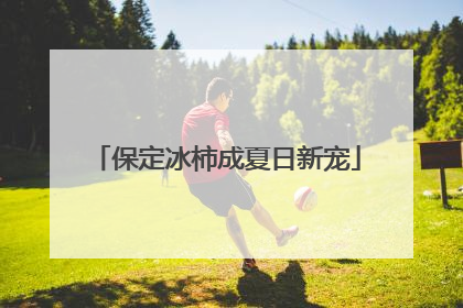 保定冰柿成夏日新宠