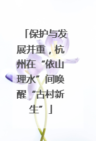 保护与发展并重，杭州在“依山理水”间唤醒“古村新生”