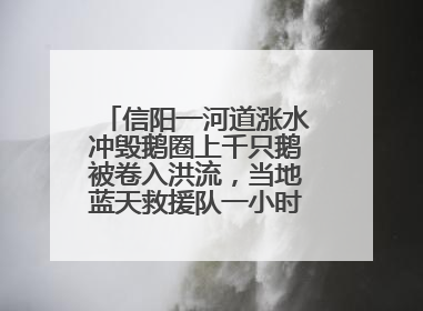 信阳一河道涨水冲毁鹅圈上千只鹅被卷入洪流，当地蓝天救援队一小时赶鹅上岸