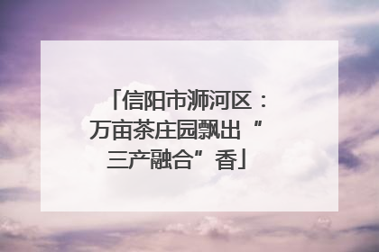 信阳市浉河区：万亩茶庄园飘出“三产融合”香