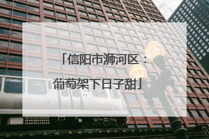 信阳市浉河区：葡萄架下日子甜