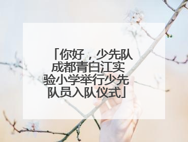 你好，少先队 成都青白江实验小学举行少先队员入队仪式