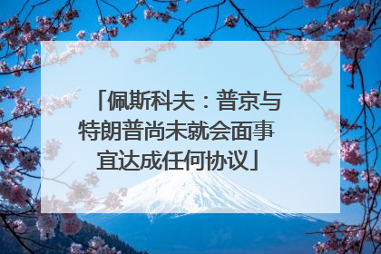 佩斯科夫：普京与特朗普尚未就会面事宜达成任何协议