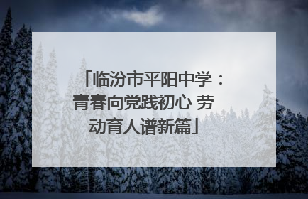 临汾市平阳中学：青春向党践初心 劳动育人谱新篇