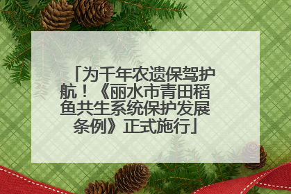 为千年农遗保驾护航！《丽水市青田稻鱼共生系统保护发展条例》正式施行