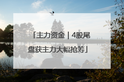 主力资金｜4股尾盘获主力大幅抢筹