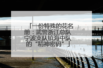 一份特殊的花名册：武警浙江总队宁波支队镇海中队的“精神密码”
