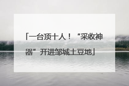 一台顶十人！“采收神器”开进邹城土豆地