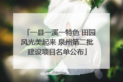 一县一溪一特色 田园风光美起来 泉州第二批建设项目名单公布