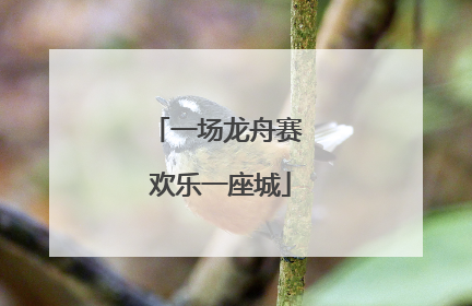 一场龙舟赛 欢乐一座城
