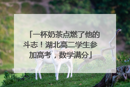 一杯奶茶点燃了他的斗志！湖北高二学生参加高考，数学满分