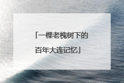 一棵老槐树下的百年大连记忆