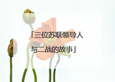 三位苏联领导人与二战的故事