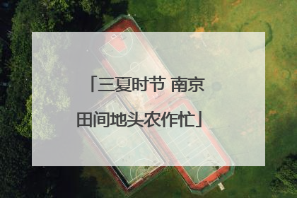 三夏时节 南京田间地头农作忙