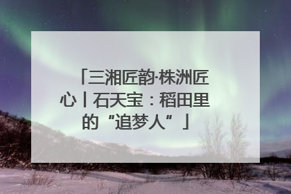 三湘匠韵·株洲匠心丨石天宝：稻田里的“追梦人”