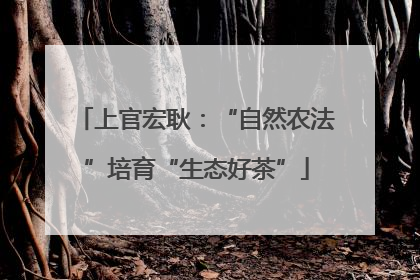 上官宏耿：“自然农法”培育“生态好茶”