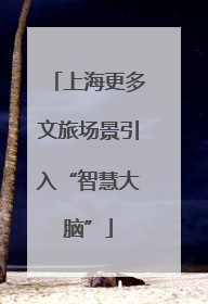 上海更多文旅场景引入“智慧大脑”