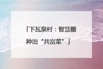 下瓦泉村：智慧棚种出“共富菜”