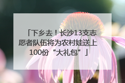 下乡去！长沙13支志愿者队伍将为农村娃送上100份“大礼包”