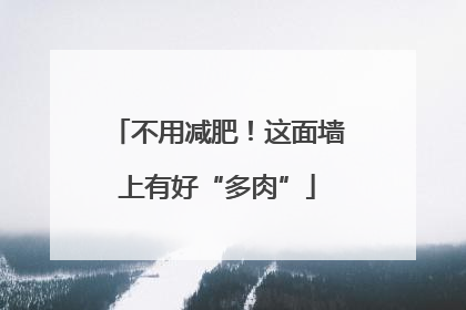 不用减肥！这面墙上有好“多肉”