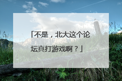 不是，北大这个论坛真打游戏啊？