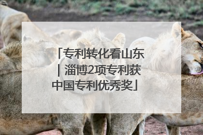 专利转化看山东｜淄博2项专利获中国专利优秀奖