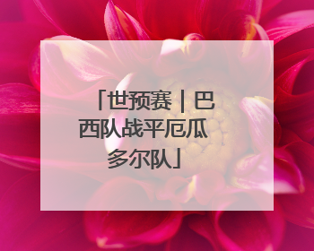 世预赛｜巴西队战平厄瓜多尔队