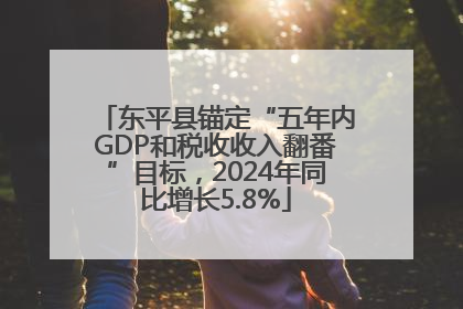 东平县锚定“五年内GDP和税收收入翻番”目标，2024年同比增长5.8%