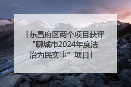 东昌府区两个项目获评“聊城市2024年度法治为民实事”项目