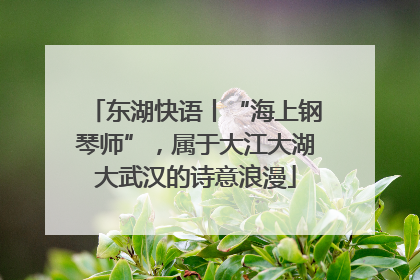 东湖快语丨“海上钢琴师”，属于大江大湖大武汉的诗意浪漫