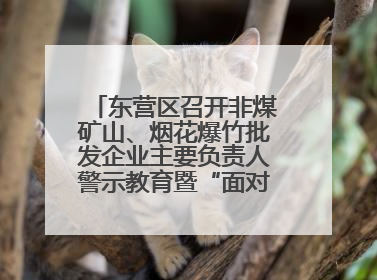 东营区召开非煤矿山、烟花爆竹批发企业主要负责人警示教育暨“面对面”谈话会议