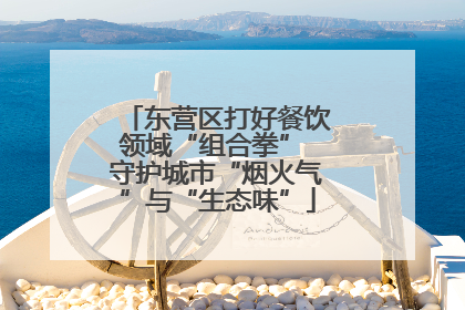 东营区打好餐饮领域“组合拳” 守护城市“烟火气”与“生态味”