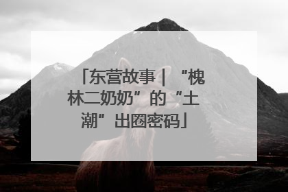 东营故事｜“槐林二奶奶”的“土潮”出圈密码