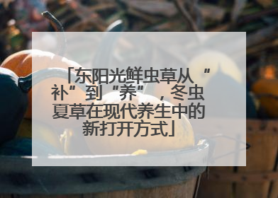 东阳光鲜虫草从“补”到“养”，冬虫夏草在现代养生中的新打开方式