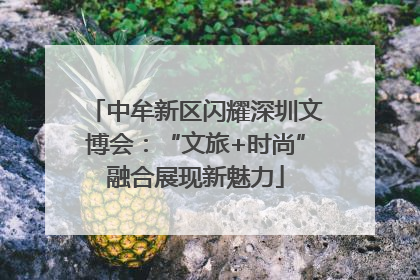 中牟新区闪耀深圳文博会：“文旅+时尚”融合展现新魅力