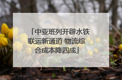 中亚班列开辟水铁联运新通道 物流综合成本降四成