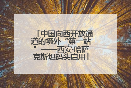 中国向西开放通道的境外“第一站”——西安·哈萨克斯坦码头启用