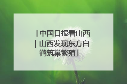中国日报看山西｜山西发现东方白鹳筑巢繁殖