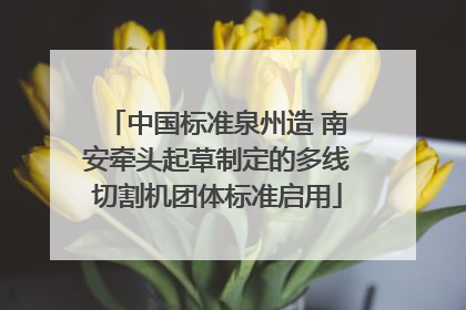 中国标准泉州造 南安牵头起草制定的多线切割机团体标准启用