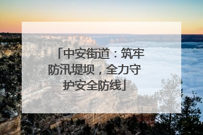 中安街道：筑牢防汛堤坝，全力守护安全防线