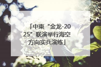 中柬“金龙-2025”联演举行海空方向实兵演练